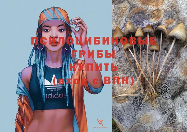 мет Алзамай